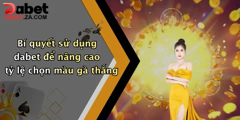 Bí quyết sử dụng dabet để nâng cao tỷ lệ chọn màu gà thắng
