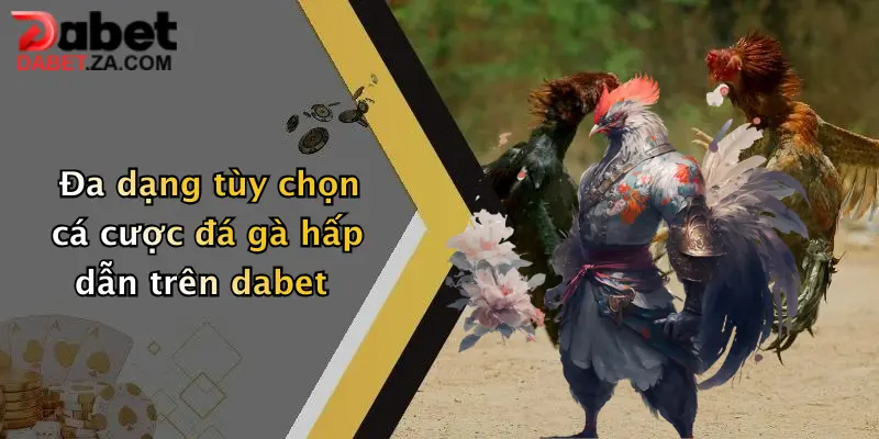 Đa dạng tùy chọn cá cược đá gà hấp dẫn trên dabet