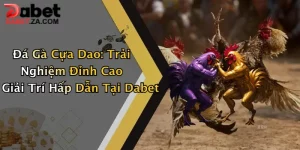 Đá Gà Cựa Dao: Trải Nghiệm Đỉnh Cao Giải Trí Hấp Dẫn Tại Dabet