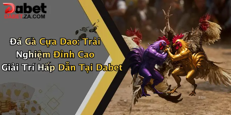 Đá Gà Cựa Dao: Trải Nghiệm Đỉnh Cao Giải Trí Hấp Dẫn Tại Dabet