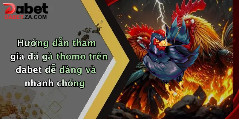 Hướng dẫn tham gia đá gà thomo trên dabet dễ dàng và nhanh chóng