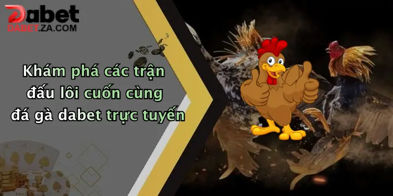 Khám phá các trận đấu lôi cuốn cùng đá gà dabet trực tuyến