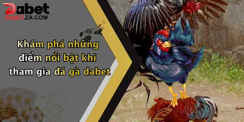 Khám phá những điểm nổi bật khi tham gia đá gà dabet
