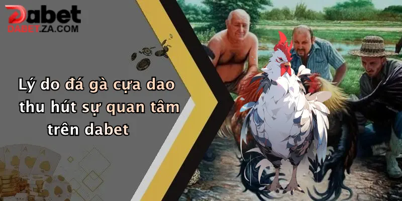 Lý do đá gà cựa dao thu hút sự quan tâm trên dabet