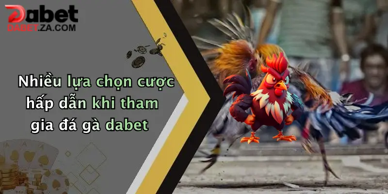 Nhiều lựa chọn cược hấp dẫn khi tham gia đá gà dabet