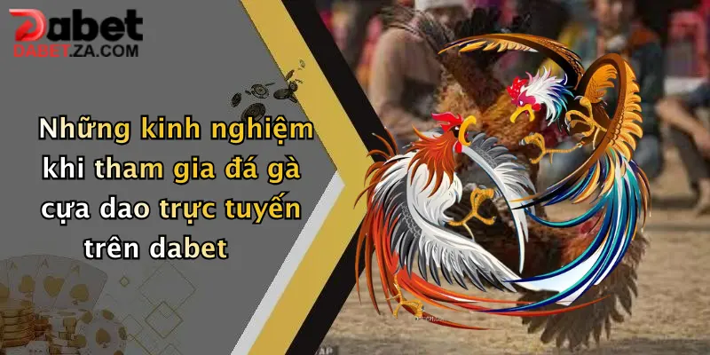 Những kinh nghiệm khi tham gia đá gà cựa dao trực tuyến trên dabet