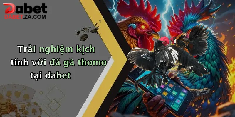 Trải nghiệm kịch tính với đá gà thomo tại dabet