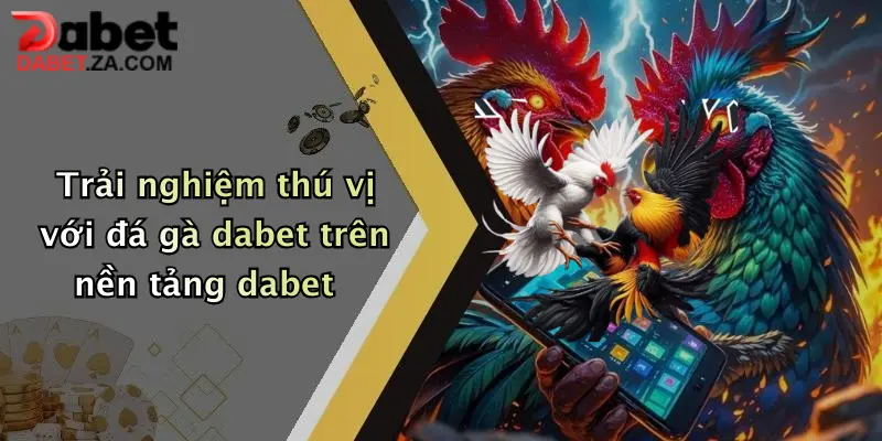 Trải nghiệm thú vị với đá gà dabet trên nền tảng dabet